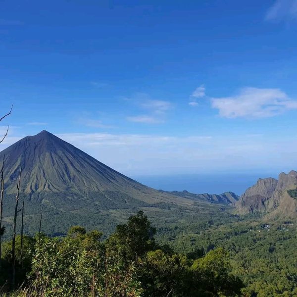 2649a492-2ecd-4ef0-9ba9-1ad34d2eb46f