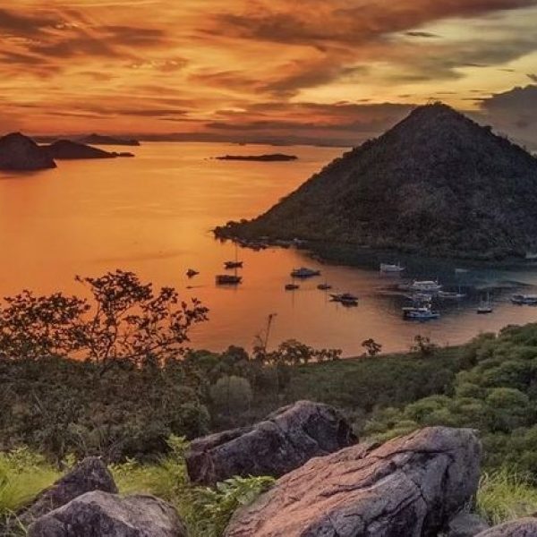 59f5b767-874b-431b-8e4c-9d7dff68d82e