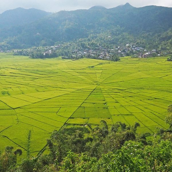 WhatsApp Image 2025-07-12 at 21.40.10