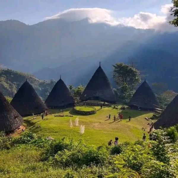 WhatsApp Image 2025-07-12 at 22.00.22