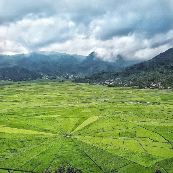 WhatsApp Image 2025-07-15 at 20.58.04