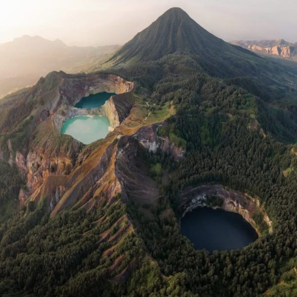 d6dd31c2-a695-411e-8281-a801a0aef859