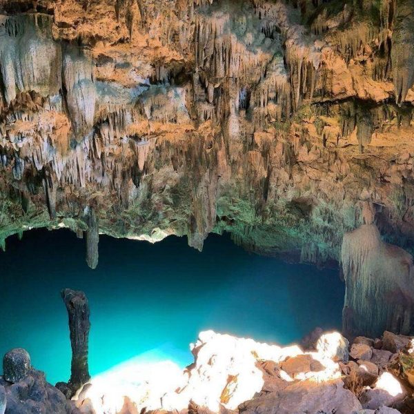 fee4d2a4-28ab-4300-925f-a4238d2a3c71